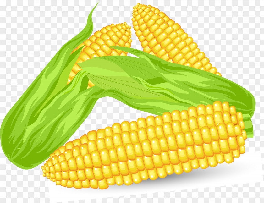 Ear Corn On The Cob Candy Maize PNG