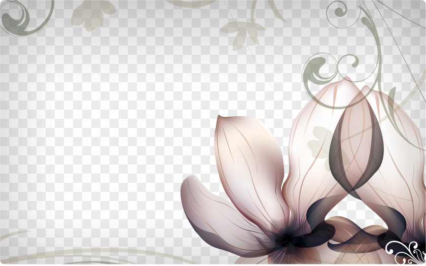 Flowers Elegant Background Flower Photography Desktop Wallpaper Petal PNG