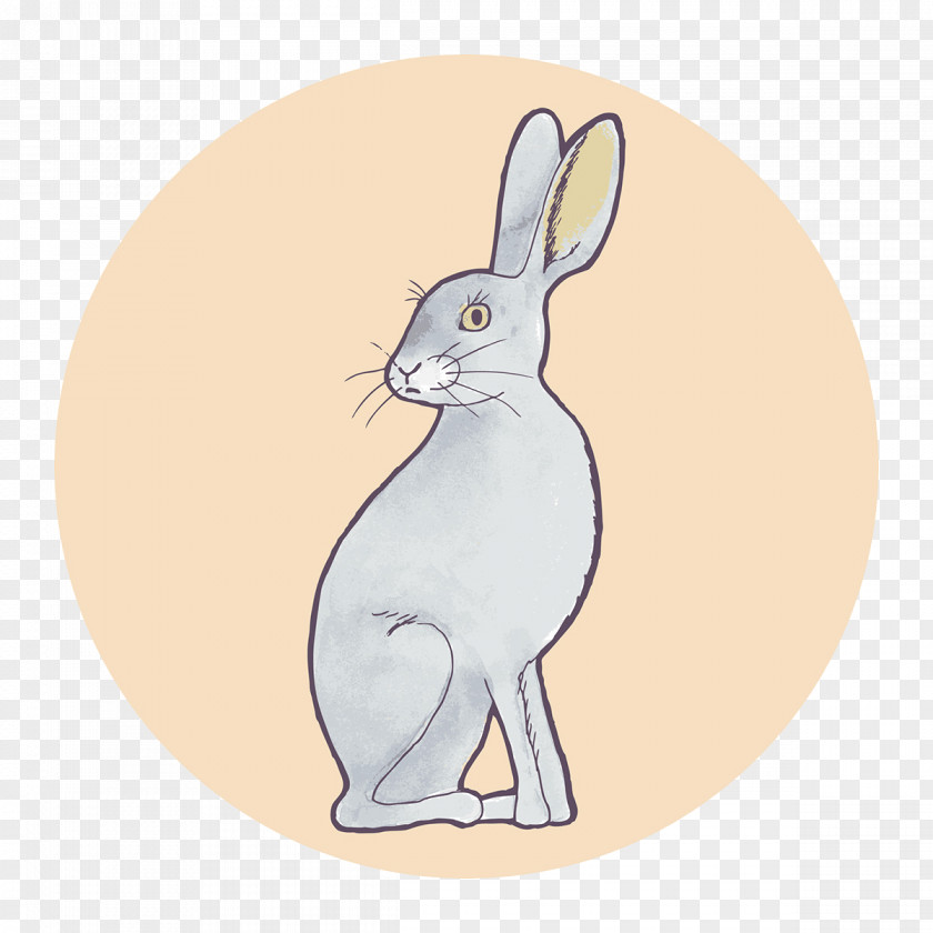 Gray Bunny Pattern Domestic Rabbit Hare Whiskers Illustration PNG