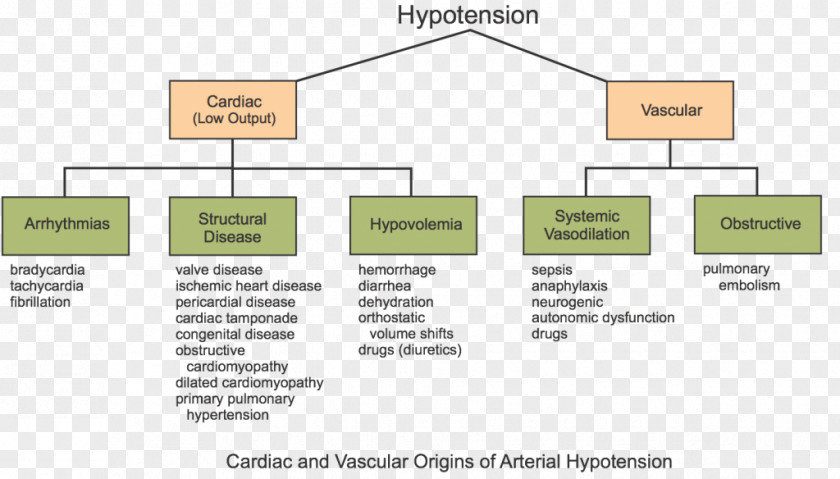 Blood Orthostatic Hypotension Pressure Mean Arterial Heart Failure PNG