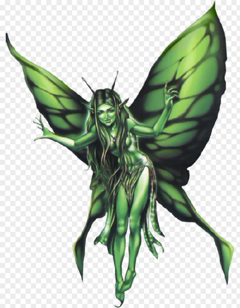 Fairy Animation Absinthe PNG
