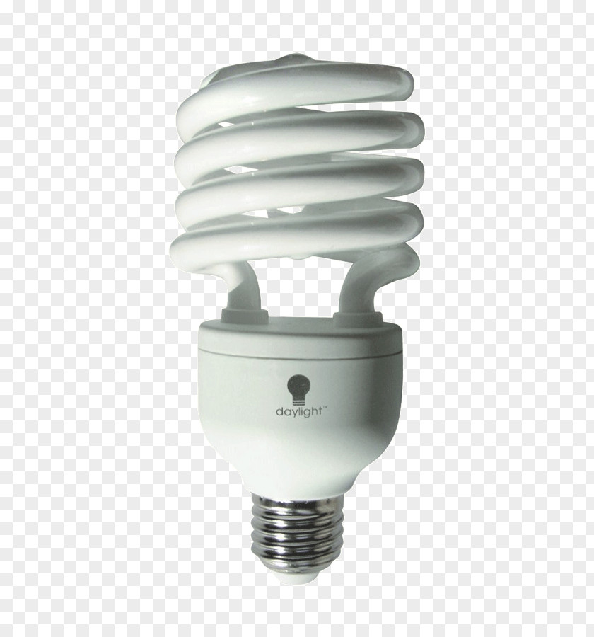 Light Incandescent Bulb Compact Fluorescent Lamp Daylight Artist Clip-On Studio PNG