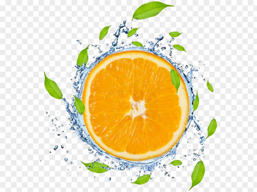 Orange Juice Lime Fruit PNG