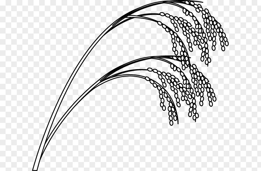 Rice Cliparts Outline White Cereal Drawing Clip Art PNG