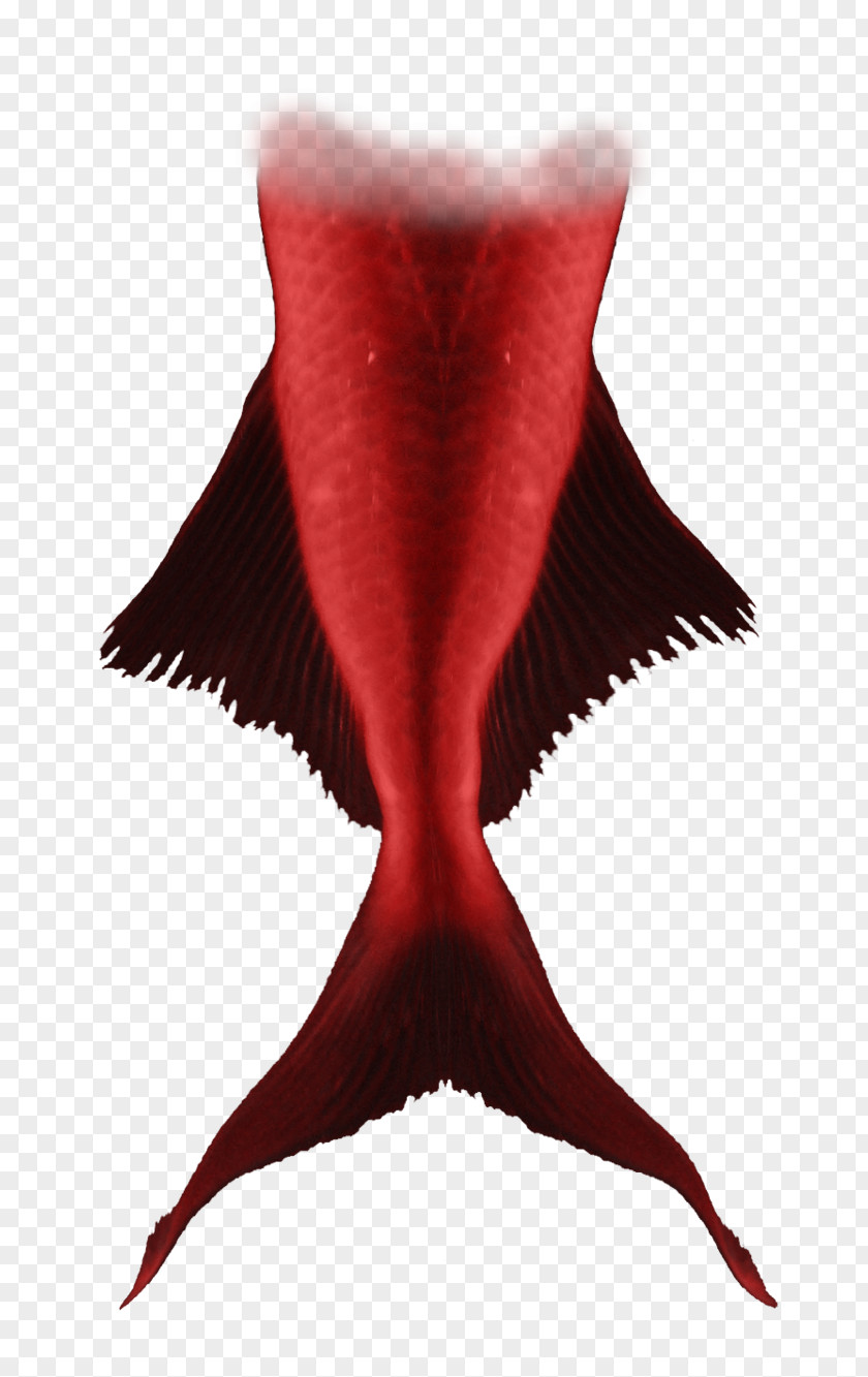 Mermaid Tail Ariel Red Merman PNG