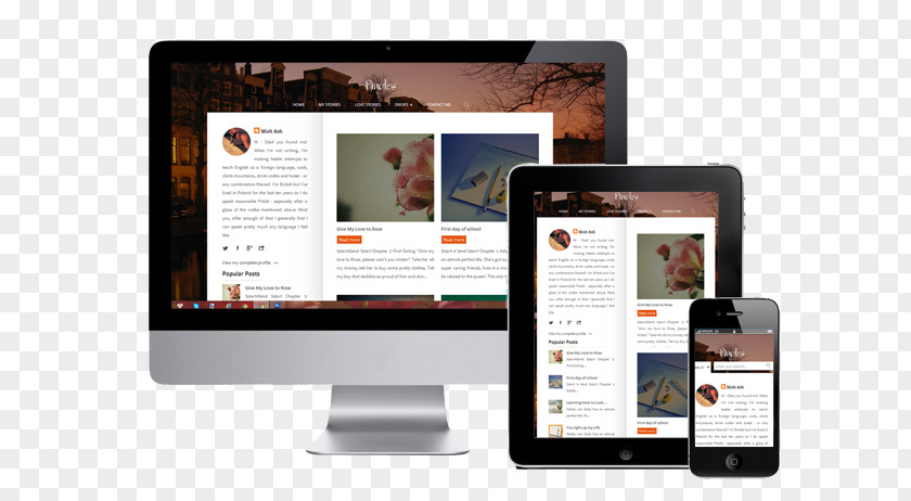 Responsive Web Design Development PNG