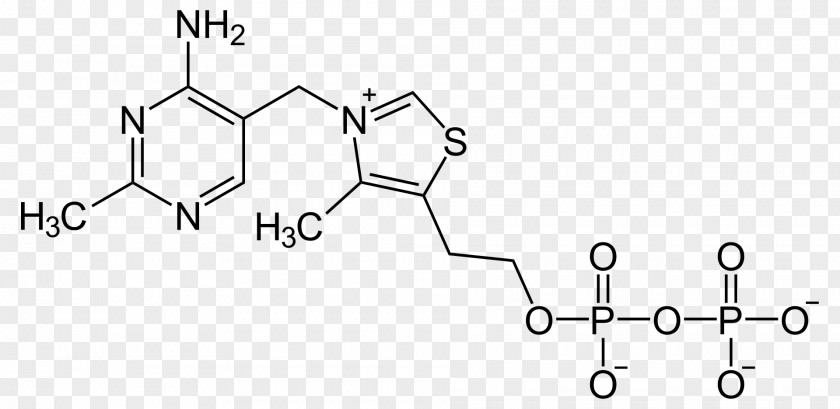 Vitamin C Thiamine B Vitamins Niacin Riboflavin PNG