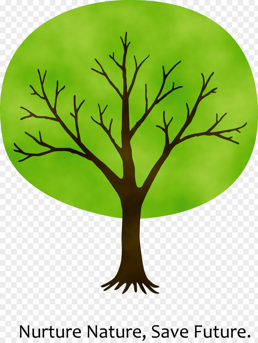 Arbor Day PNG