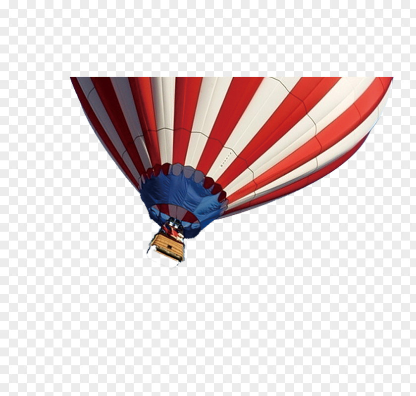 Balloons Float Balloon PNG