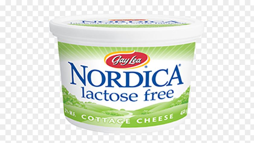 Cottage Cheese Milk Lactose Intolerance Dairy Products PNG
