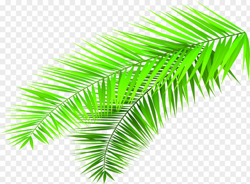 Creative Hand-painted Green Bamboo Leaves Leaf PNG