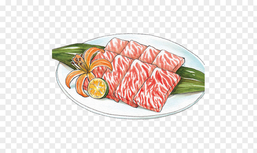 Ham Meat Hand Painting Material Picture Sashimi Agneau Bresaola PNG