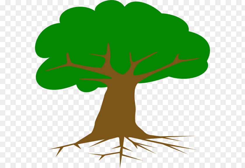 Oak Hill Elementary Teachers Clip Art Root Vector Graphics Tree PNG