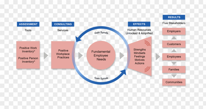 Organizational Framework Brand Organization Diagram PNG