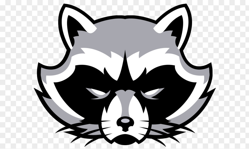 Rocket Raccoon Frisco High School National Secondary Centennial PNG