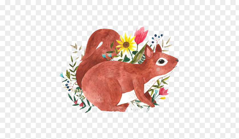 Squirrel Illustration PNG
