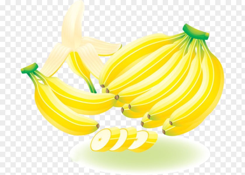 Banana Vector Graphics Racimo Image Clip Art PNG