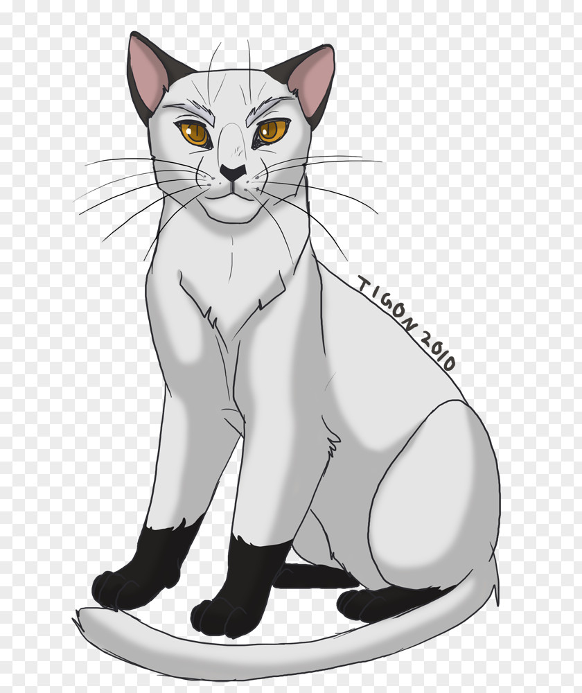 Cat Cats Of The Clans Warriors Into Wild Secrets PNG
