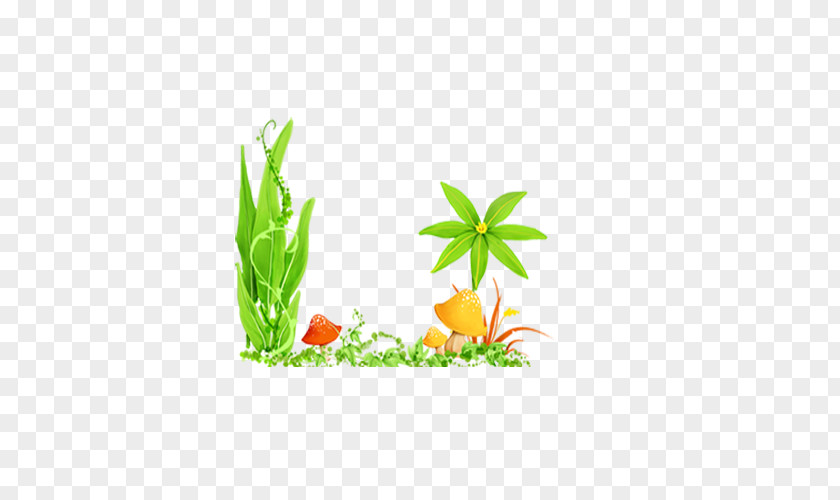 Forest Plant PNG