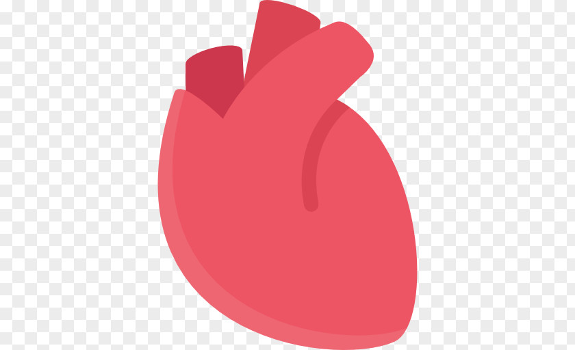 Heart Computer Icons Organ Medicine PNG Medicine, heart clipart PNG