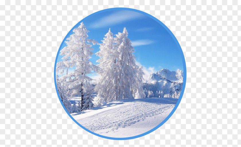 Winter Solstice Desktop Wallpaper Snow Tree Christmas PNG