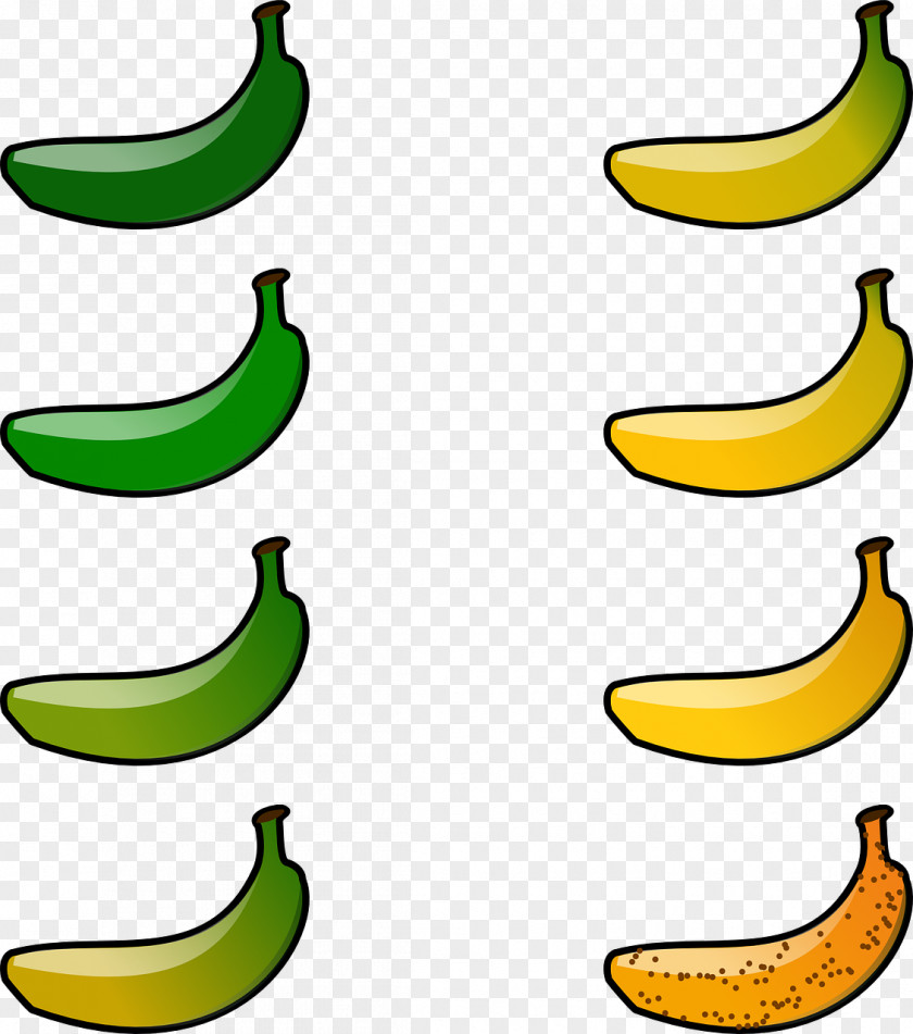 Banana Cooking Fruit Food Clip Art PNG