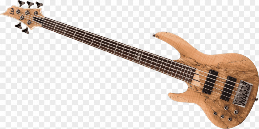 Bass Guitar ESP LTD EC-1000 Acoustic-electric PNG