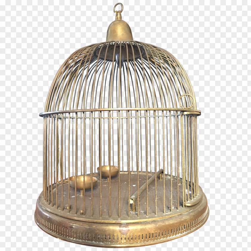 Bird Cage Birdcage Brass Wire PNG