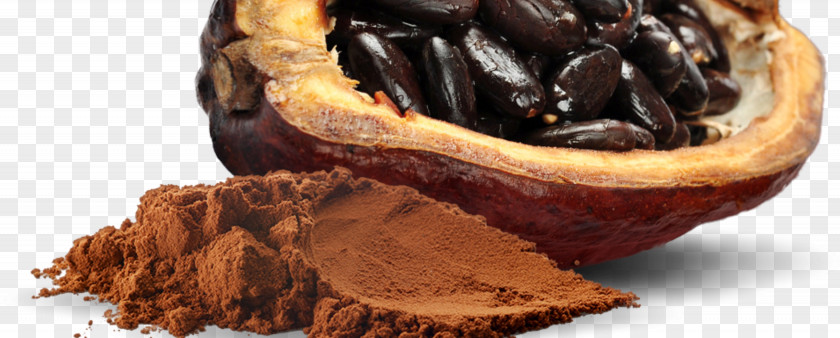 Chocolate Cocoa Bean Superfood Flavor Commodity PNG