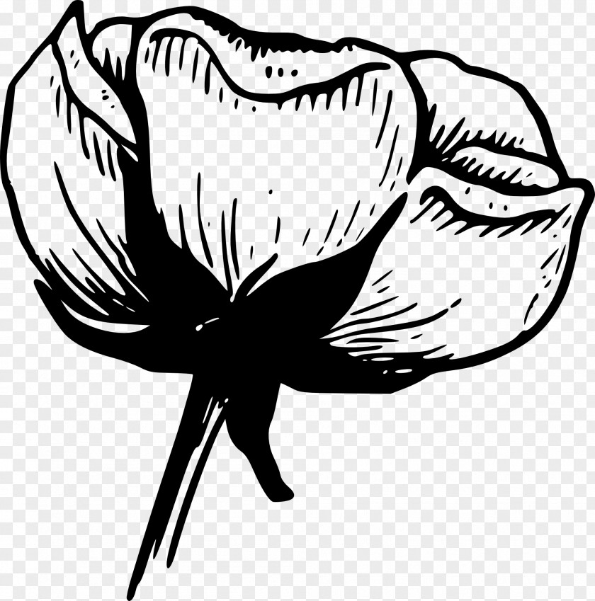Flower Pictures Art Black And White Clip PNG