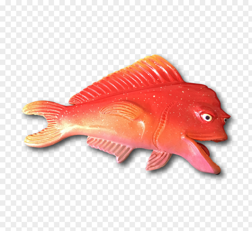 Northern Red Snapper Marine Biology Fish PNG