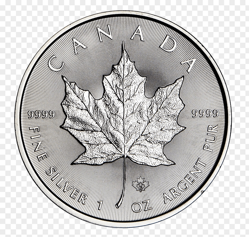 Silver Dime White PNG