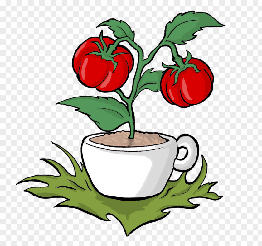Tomato Food Sustainability Heirloom Vegetable PNG