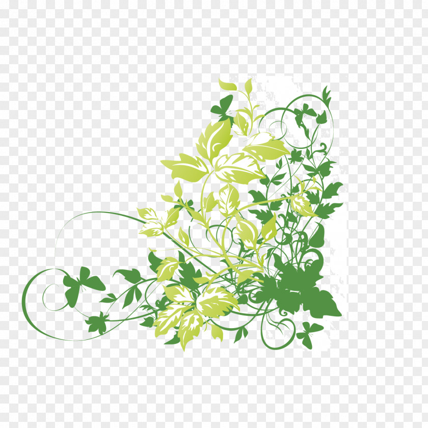 Vector Drawing Free Download Floral Design Flower PNG