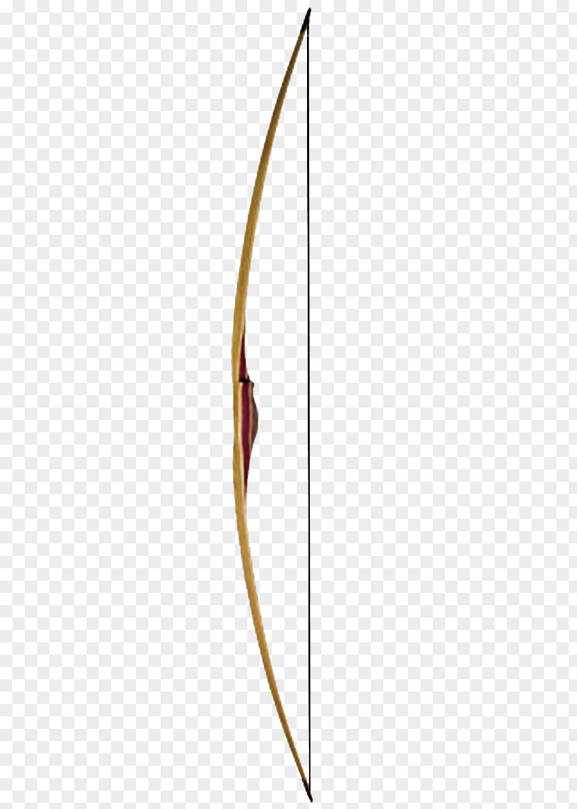 Bow Longbow Wood Recurve And Arrow PNG