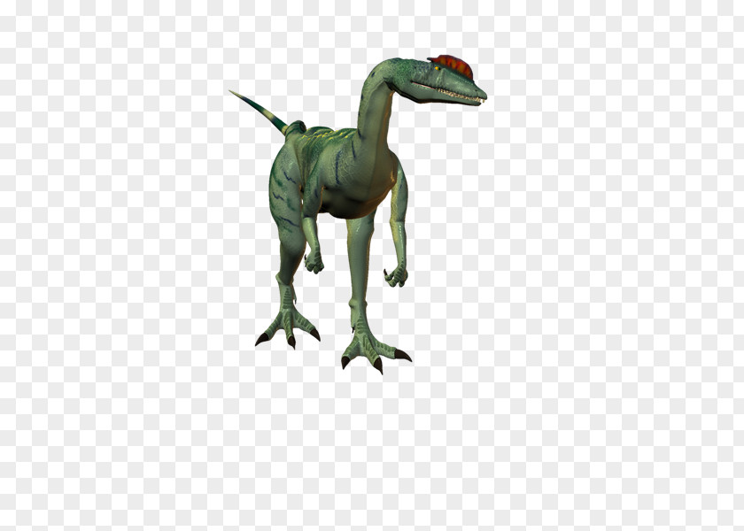 Dinosaurs Velociraptor Tyrannosaurus PhotoScape GIMP PNG