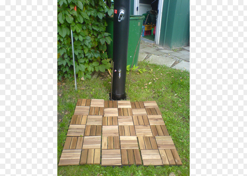 EUKALYPTUS Lawn Garden Terrace Wood Floor PNG