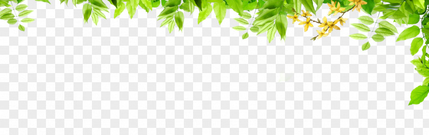 Green Leaves Border Graphic Design Pattern PNG