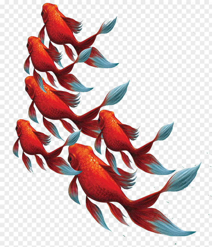 Swimming Goldfish Koi Paper Aquarium Business Card PNG