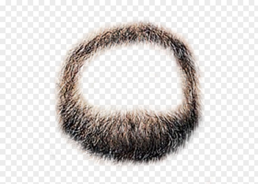Beard Moustache PNG