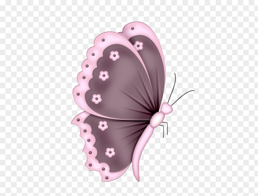 Butterfly Clip Art PNG