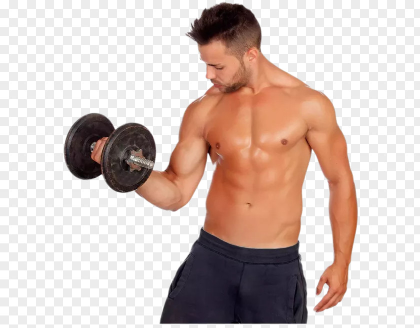 Dumbbell Weight Training Exercise Physical Fitness Loss Olympic Weightlifting PNG