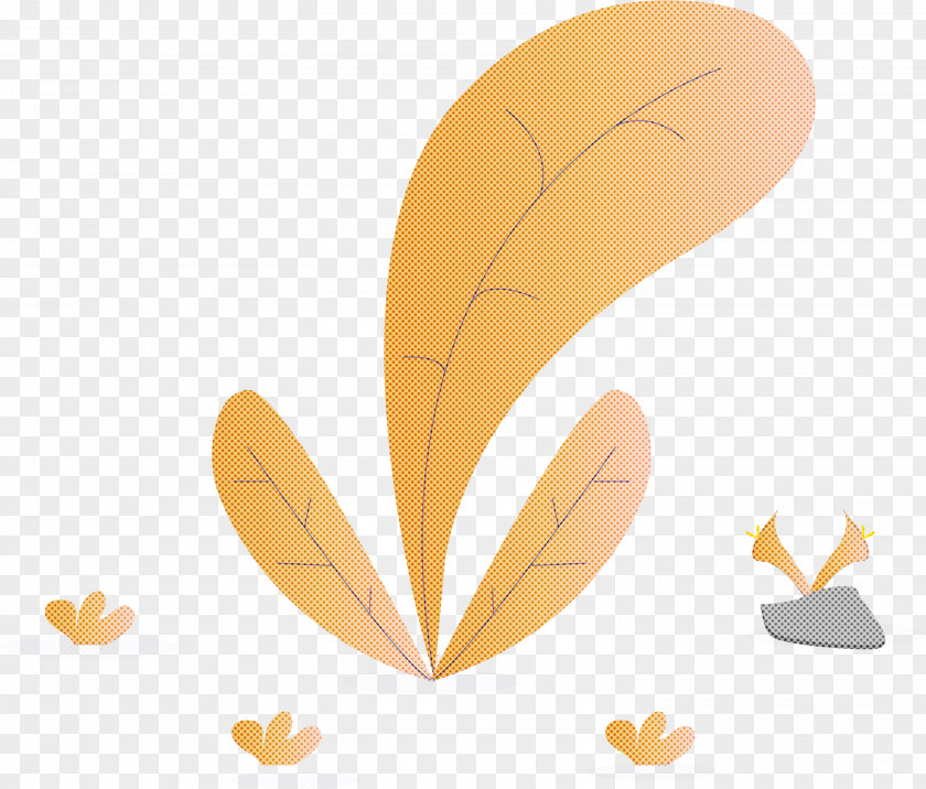 Feather PNG