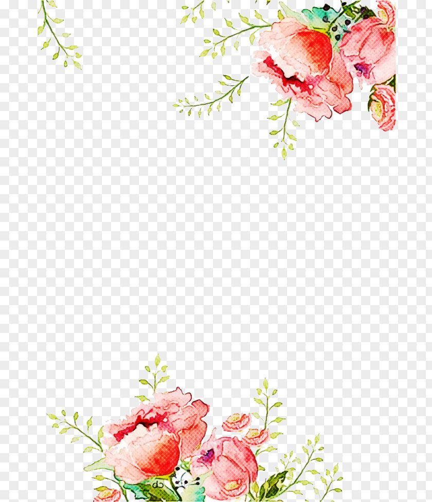 Floristry Rose Family Floral Design PNG