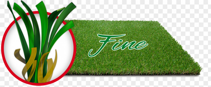 Landscape Green Lawn Logo Font Grasses PNG