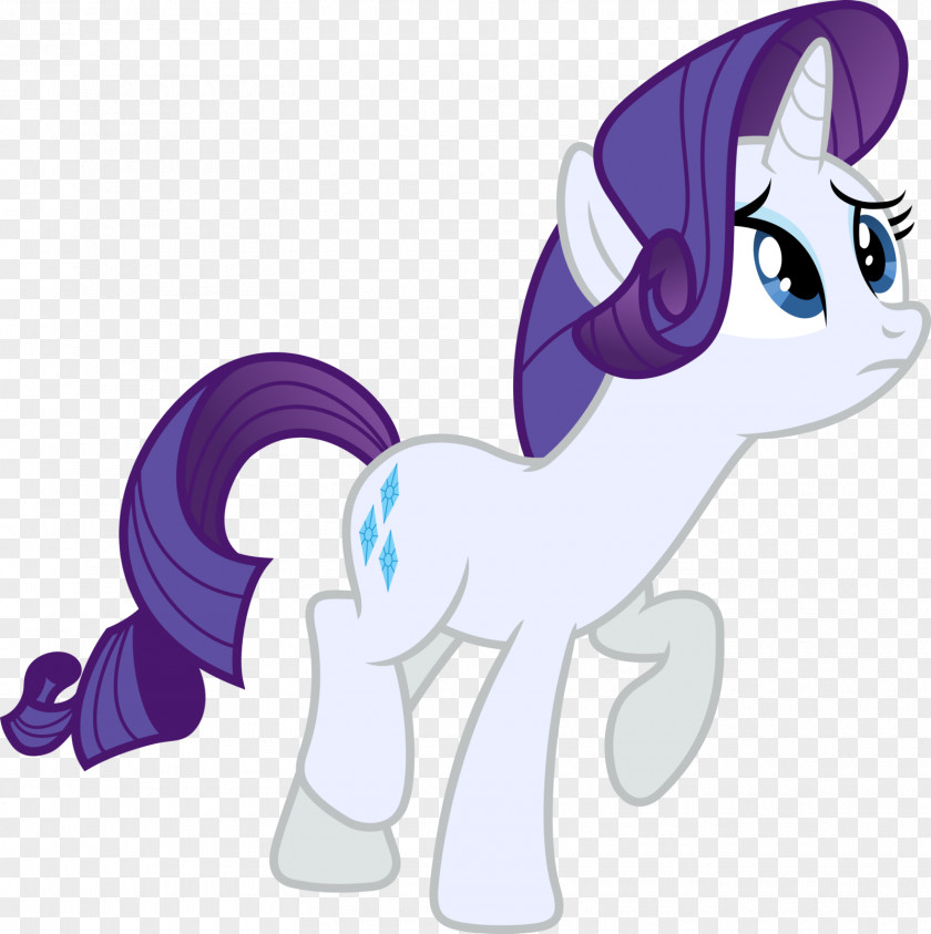 My Little Pony Rarity Rainbow Dash Twilight Sparkle Spike PNG