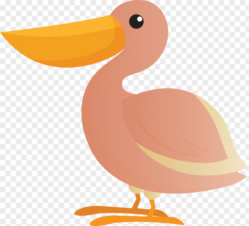 Duck Beak Seabird Orange S.a. PNG