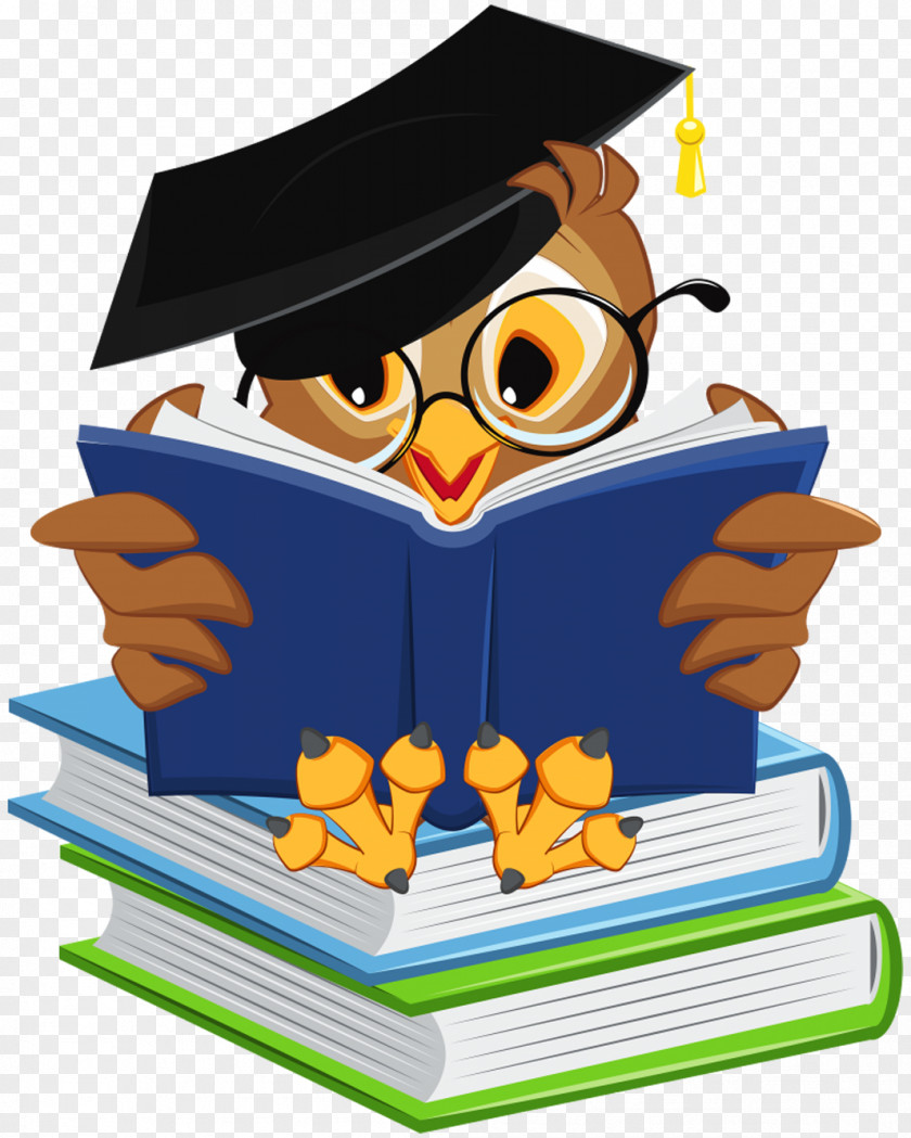 The Expression Of Expression. Owl Bird Book Clip Art PNG