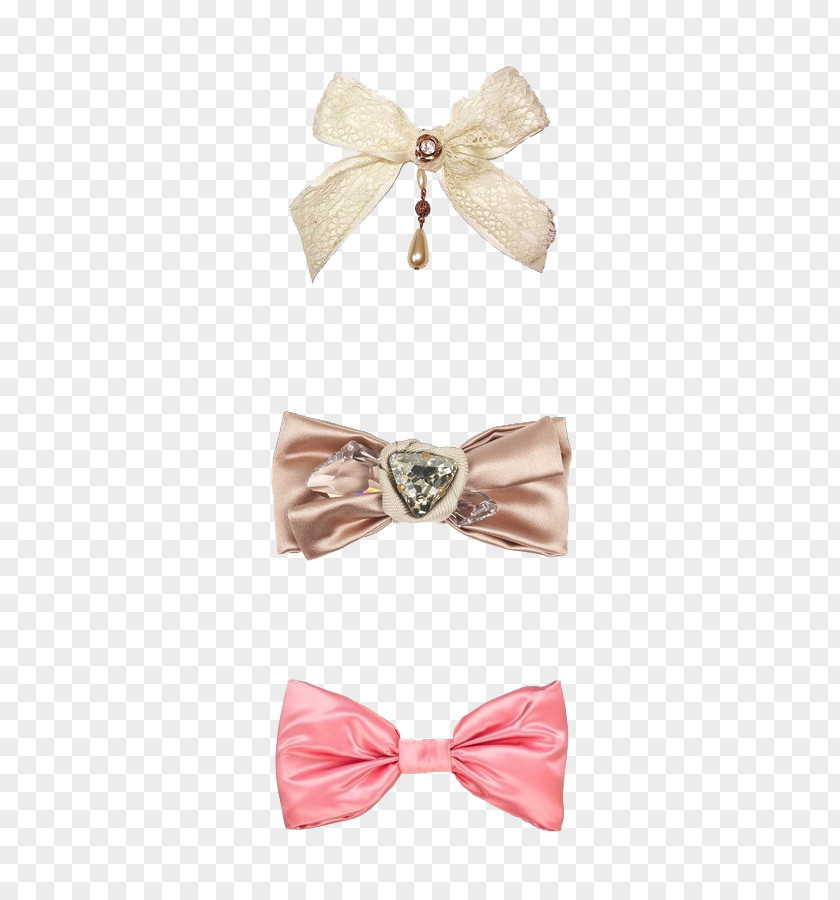 Bow Ribbon Tie Shoelace Knot PNG