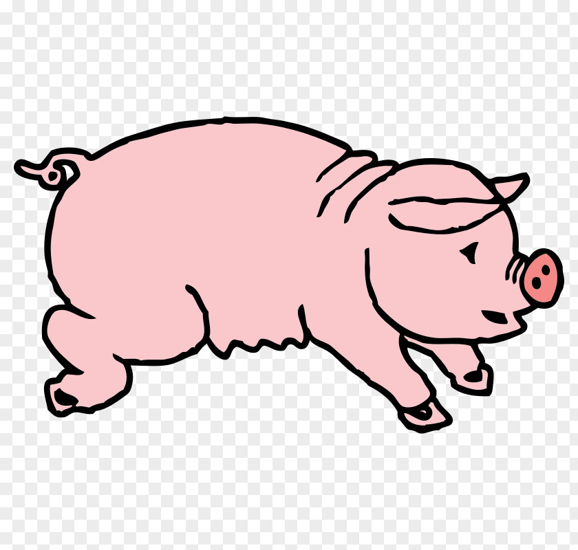 Cartoon Hog Pictures Domestic Pig Boar Hunting Free Content Clip Art PNG